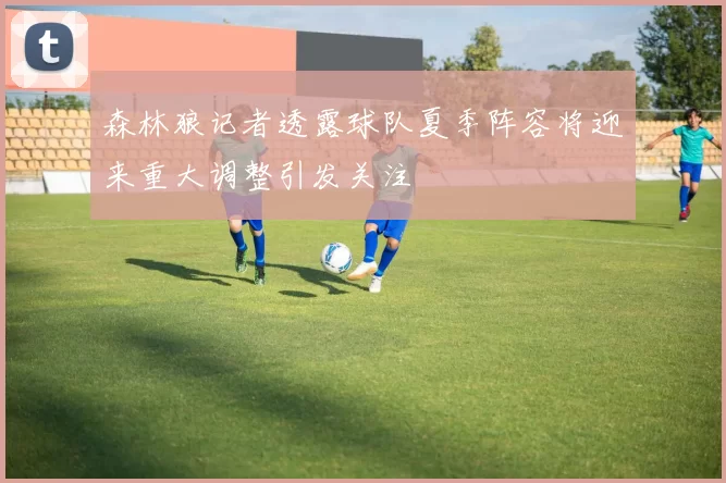 森林狼记者透露球队夏季阵容将迎来重大调整引发关注