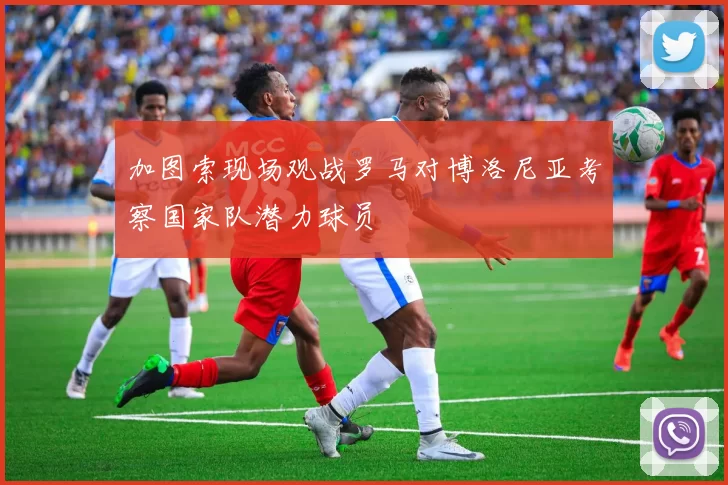 加图索现场观战罗马对博洛尼亚考察国家队潜力球员